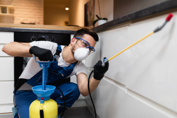 Best Local Pest Control Services  in North Eagle Butte, SD